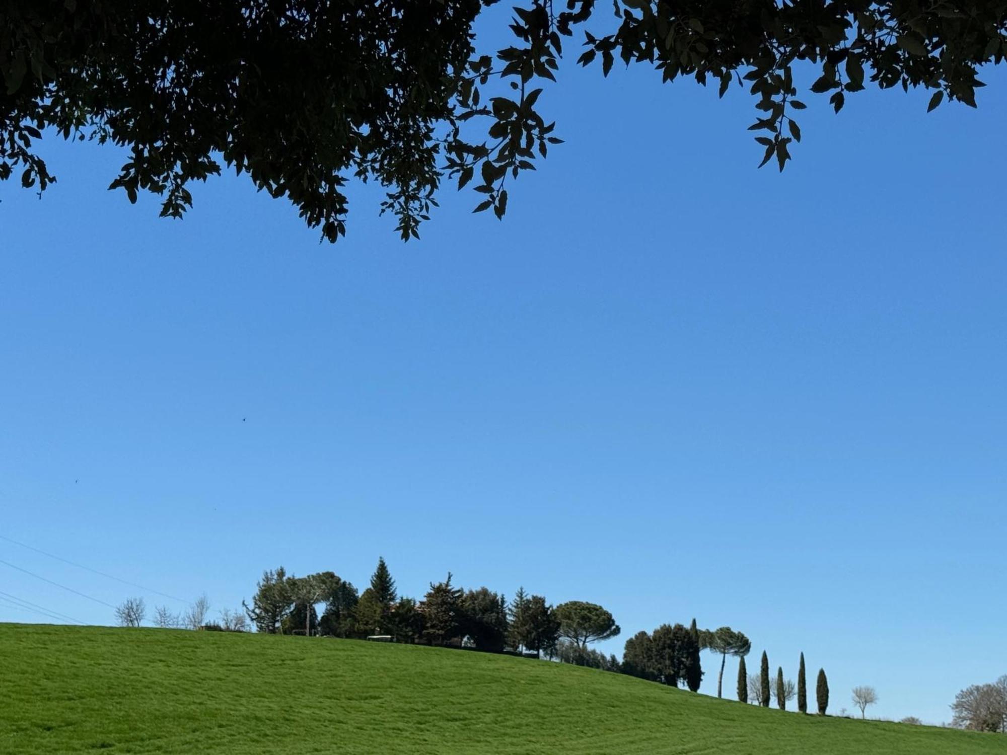 Orvieto Country House Castiglione In Teverina Εξωτερικό φωτογραφία