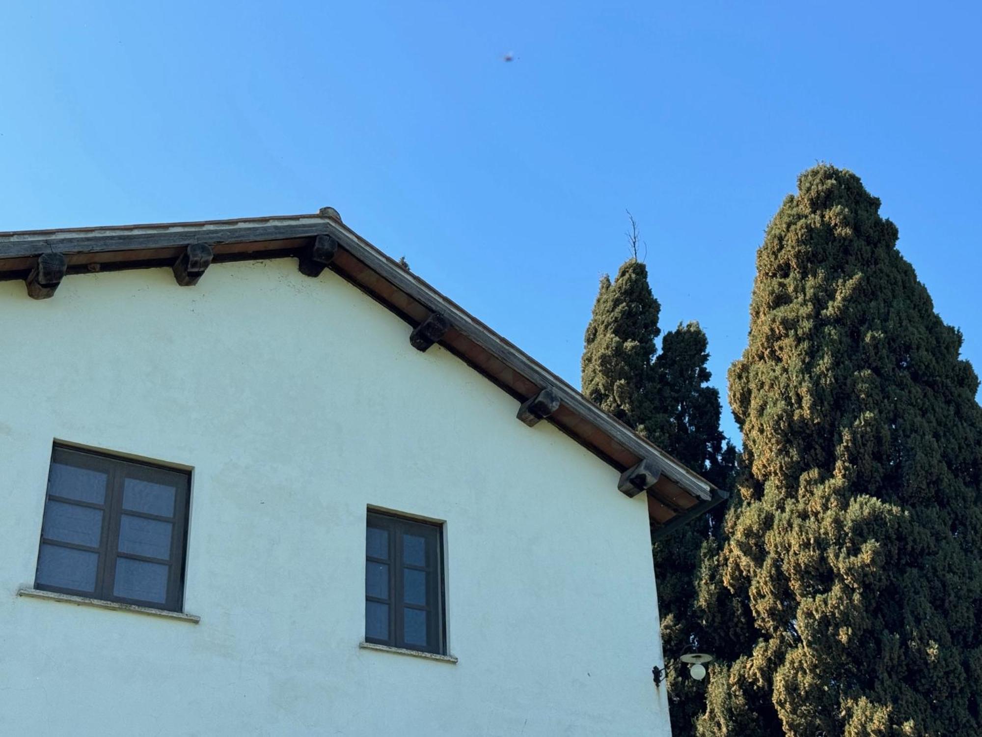 Orvieto Country House Castiglione In Teverina Εξωτερικό φωτογραφία