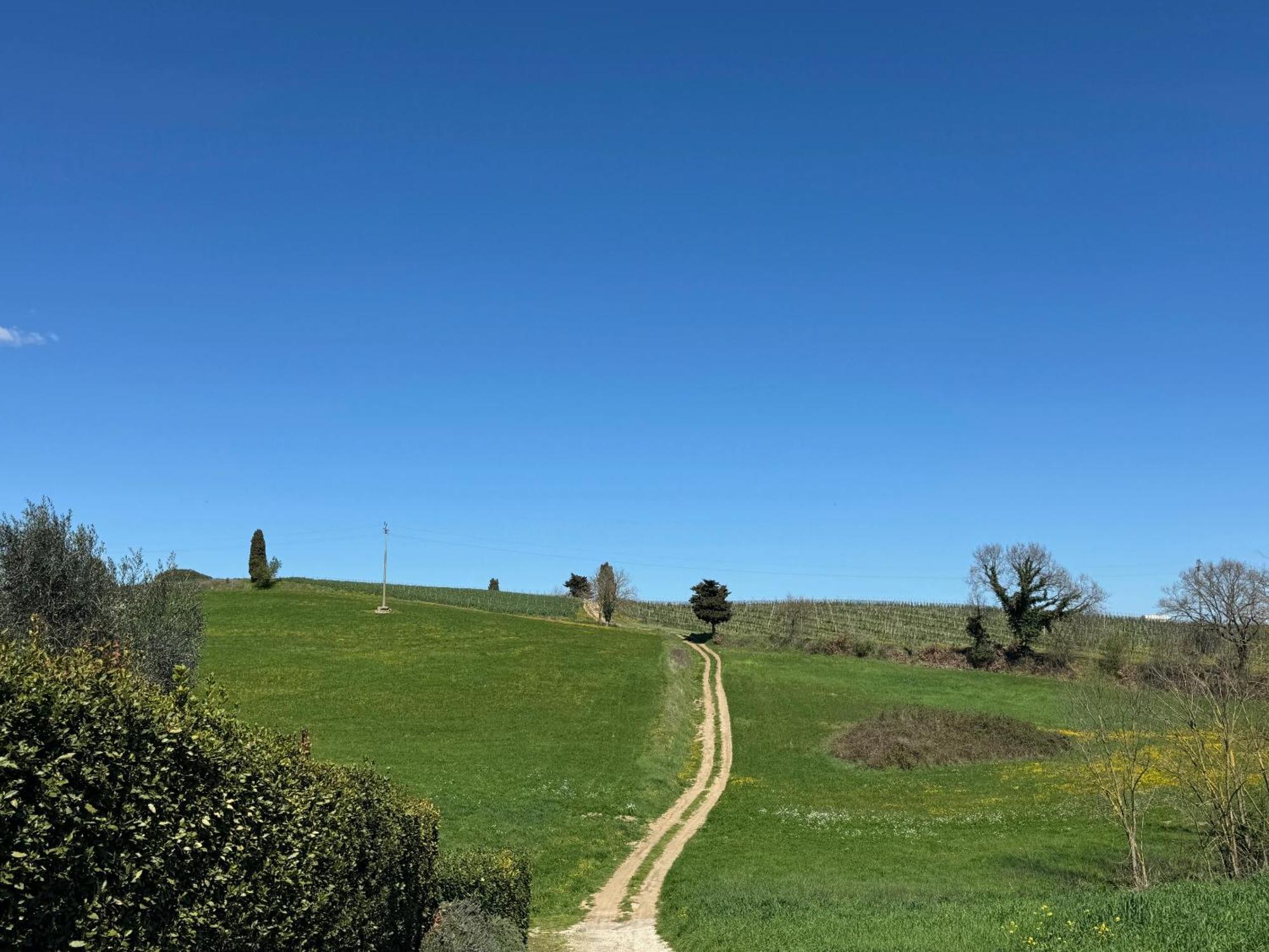 Orvieto Country House Castiglione In Teverina Εξωτερικό φωτογραφία