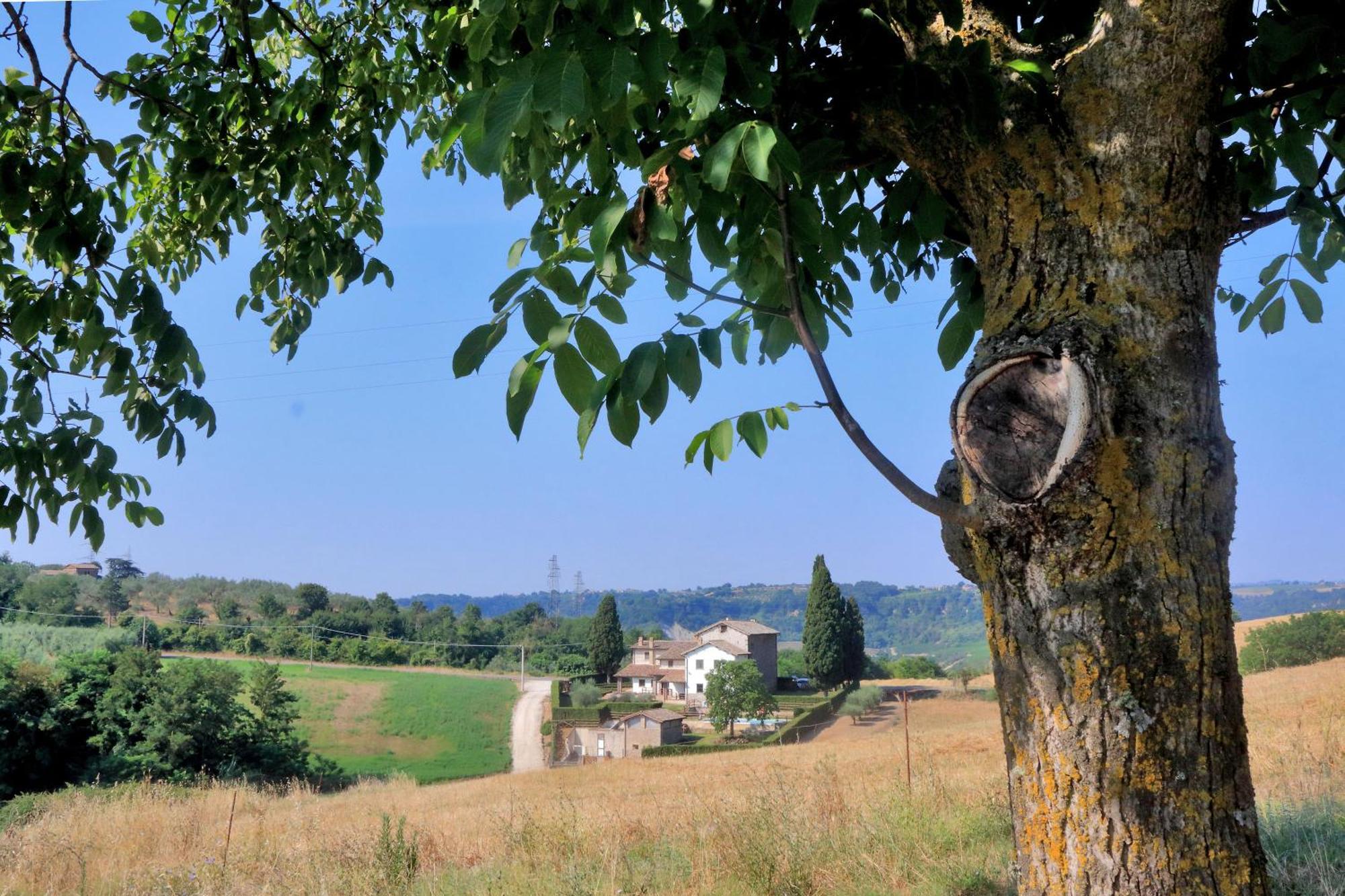 Orvieto Country House Castiglione In Teverina Εξωτερικό φωτογραφία