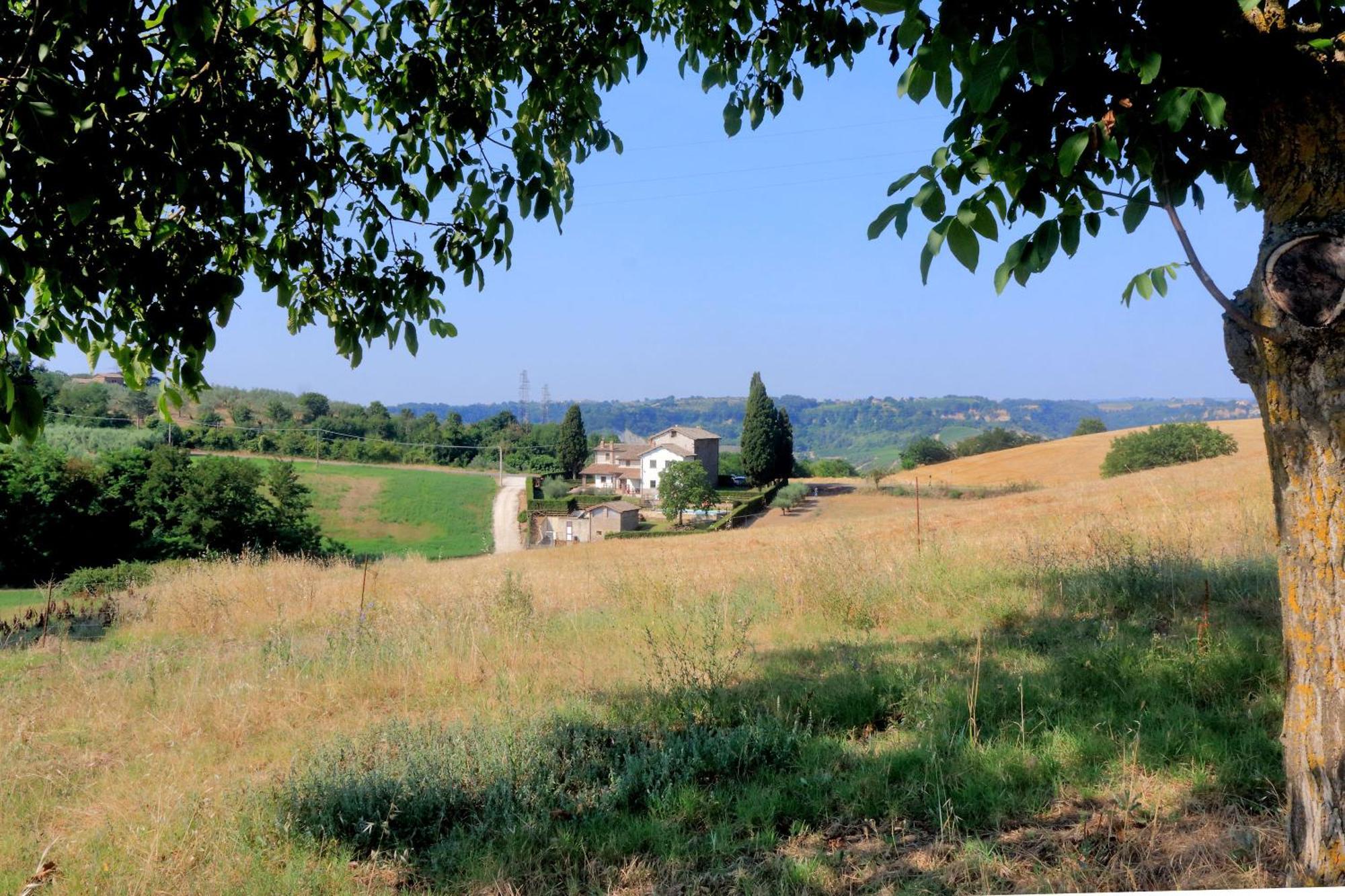 Orvieto Country House Castiglione In Teverina Εξωτερικό φωτογραφία