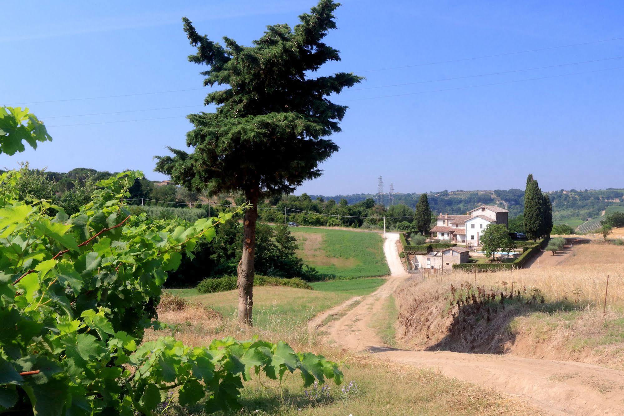 Orvieto Country House Castiglione In Teverina Εξωτερικό φωτογραφία